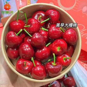 【极速尝鲜】大连美早樱桃2J 约250g-500g