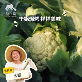 生态花椰菜/白菜花(陆运不包邮）|绿家自产*ecological broccoli | Self-production