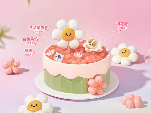 ※【柴柴的春日花信】冰淇淋/水果生日蛋糕 商品图1