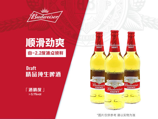[啤酒]百威啤酒经典纯生500ml*12瓶 商品图3