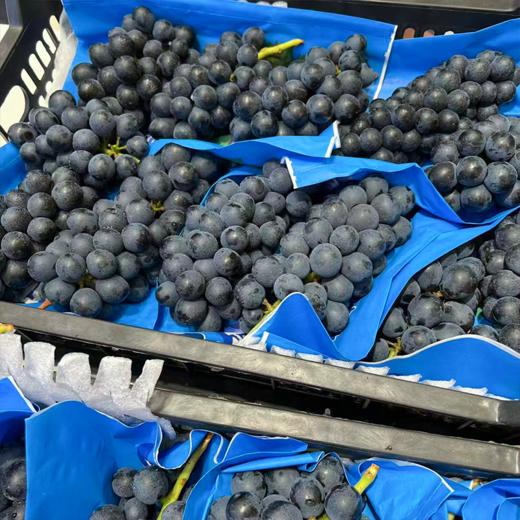 新鲜夏黑葡萄 商品图1