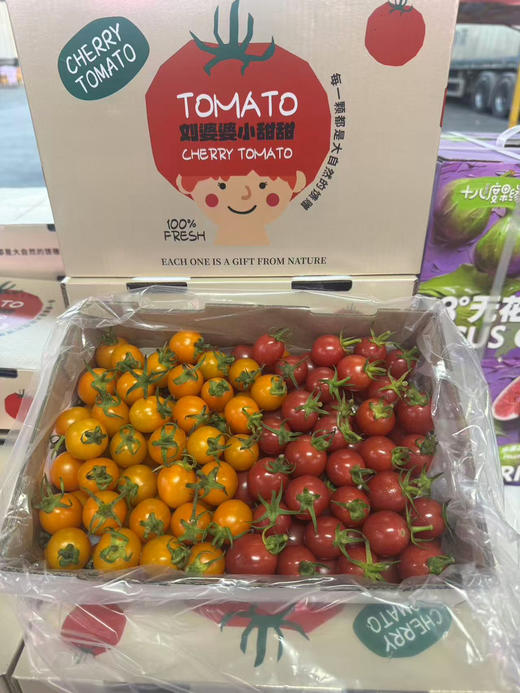 双色千禧番茄 红+黄 两种口味一起拥有 商品图2