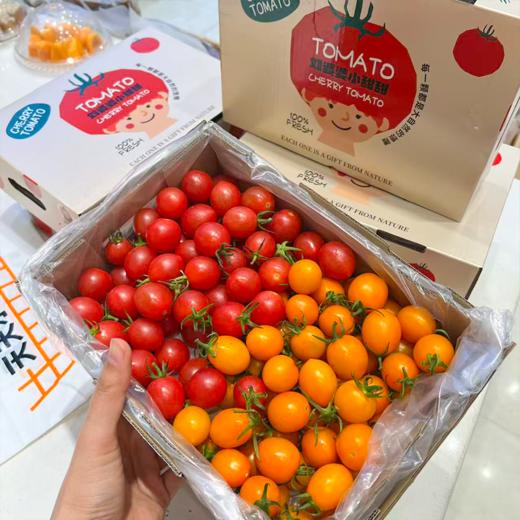 双色千禧番茄 红+黄 两种口味一起拥有 商品图1
