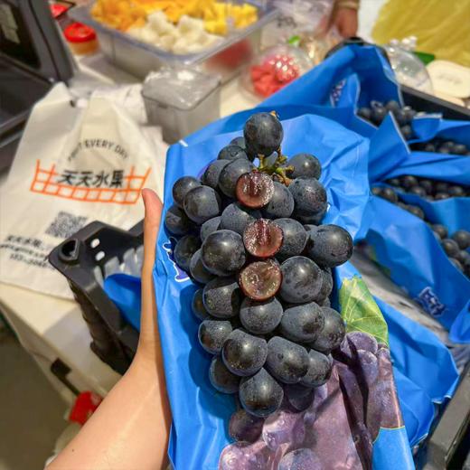 新鲜夏黑葡萄 商品图2
