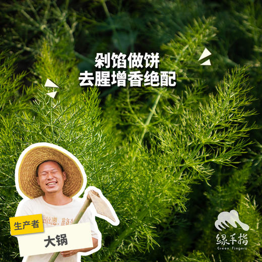 生态茴香 | 绿家自产*Ecological anise | In-House Production 商品图0