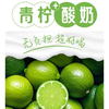 200ml*12君乐宝简醇青柠酸奶 商品缩略图2