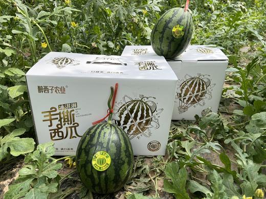 醉西子冰激凌手撕小西瓜 商品图4