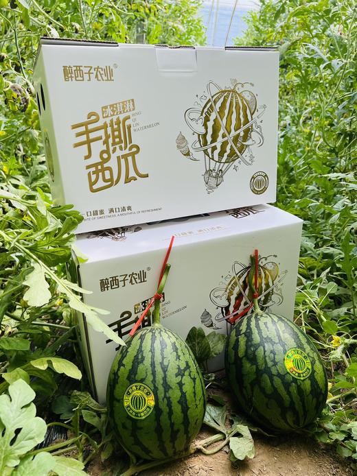 醉西子冰激凌手撕小西瓜 商品图7