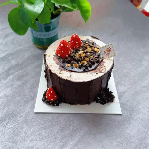 好运树桩 商品图0