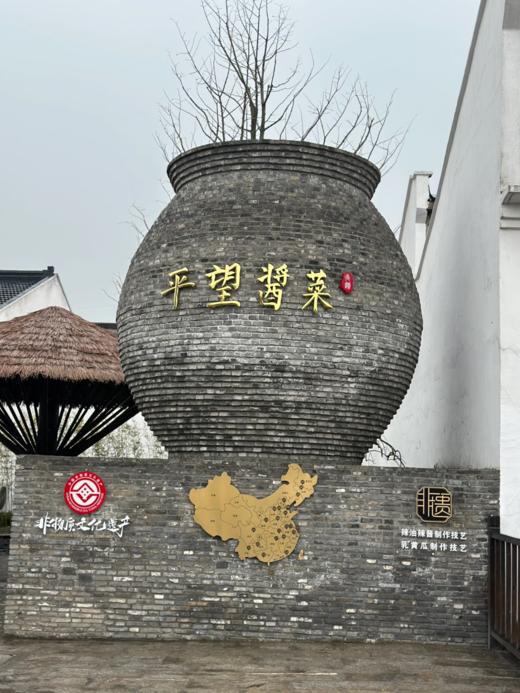 江苏老字号🏆【平望豆腐乳】💯非遗工艺，真的一口沦陷 商品图7