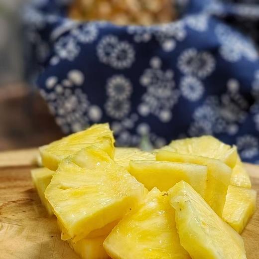 泽选凤梨-种在风化石上的凤梨 商品图4