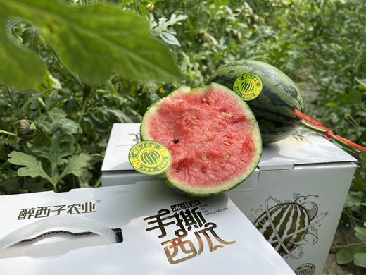 醉西子冰激凌手撕小西瓜 商品图1