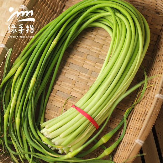 生态蒜薹| 合作生产*Ecological garlic sprouts| Partner Production 商品图2