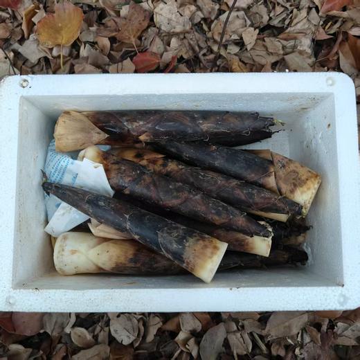 生态雷竹笋 | 合作生产* Ecological Thunder Bamboo Shoots | Coproduction 商品图5
