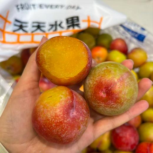 进口太阳李 李子 甜蜜爆汁 商品图1