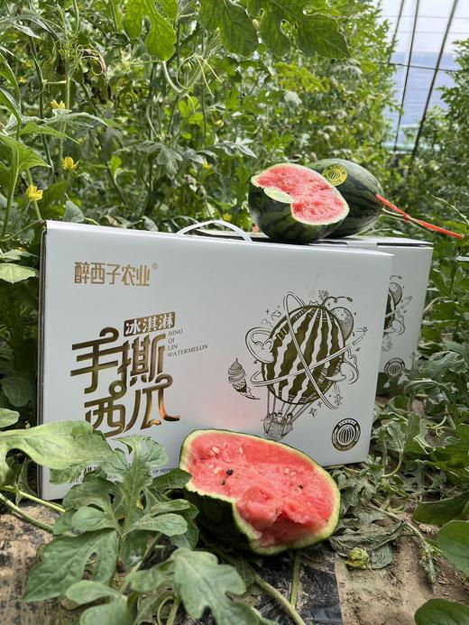 醉西子冰激凌手撕小西瓜 商品图2