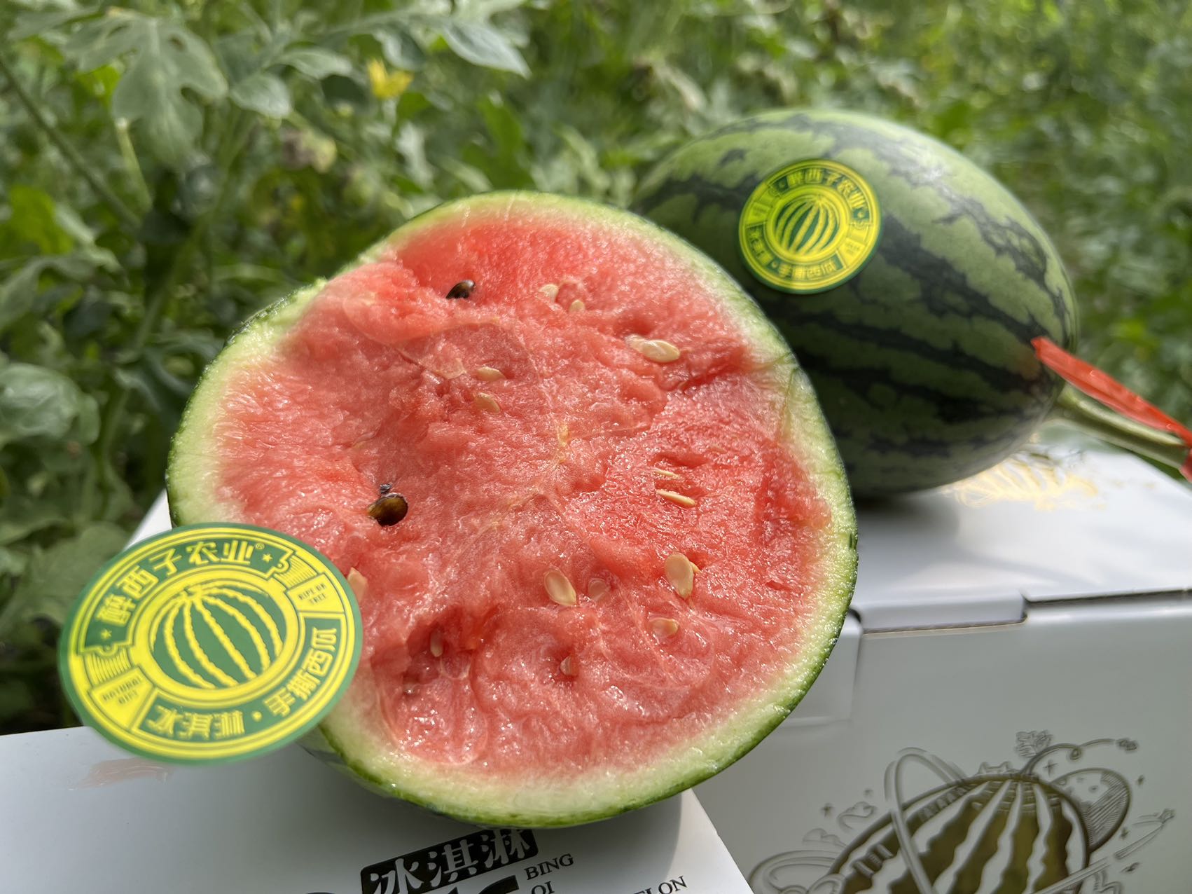 醉西子冰激凌手撕小西瓜