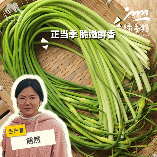 生态蒜薹| 合作生产*Ecological garlic sprouts| Partner Production 商品图0