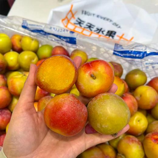 进口太阳李 李子 甜蜜爆汁 商品图2