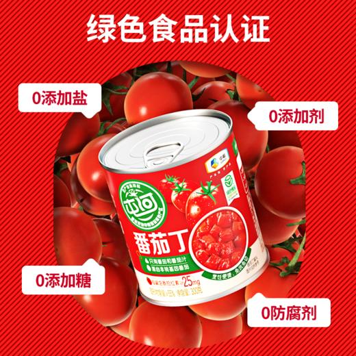 屯河蕃茄丁300g 商品图2