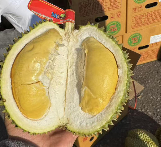 泰国甲仑榴莲B果  四房肉 商品图3