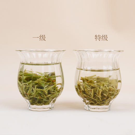 碧螺春2026明前特级180g 商品图4