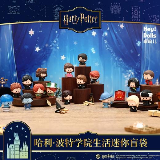 suplay盲袋 商品图0