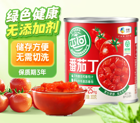 屯河蕃茄丁300g