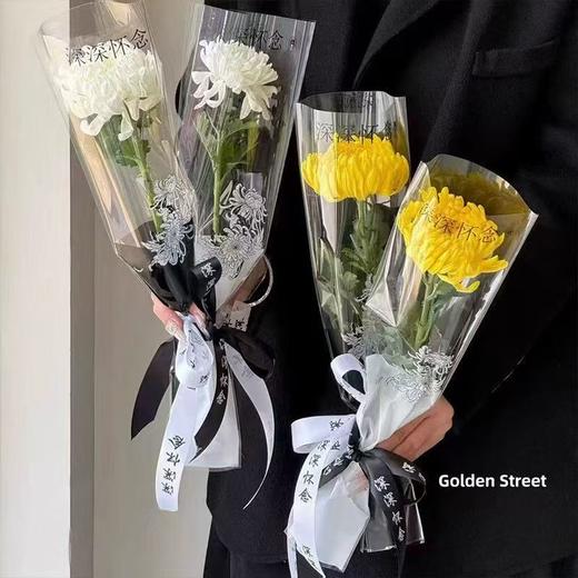 清明单支袋 商品图0