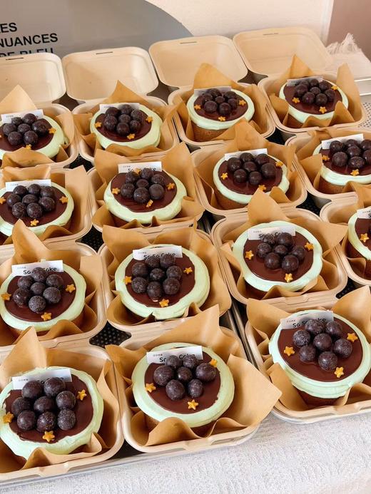 迷你4寸薄荷星星熔岩 商品图2