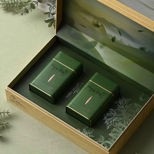 碧螺春2026明前特级180g 商品图1