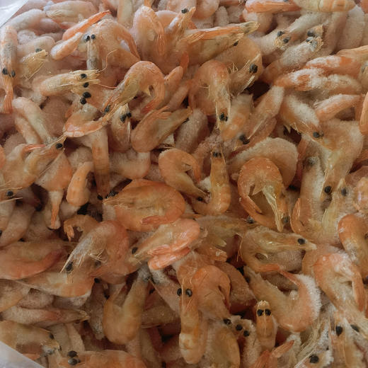 单冻小红虾 商品图0