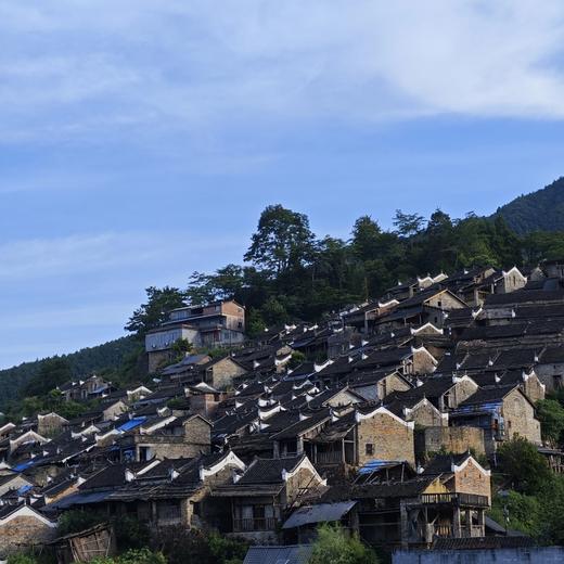 壮美侗瑶乡·趣游广西- 纯玩双飞6日游【邻居专团】 商品图4