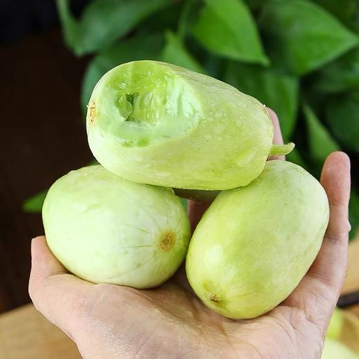 玉女小黄瓜 商品图8