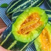 博洋9号甜瓜 商品缩略图4