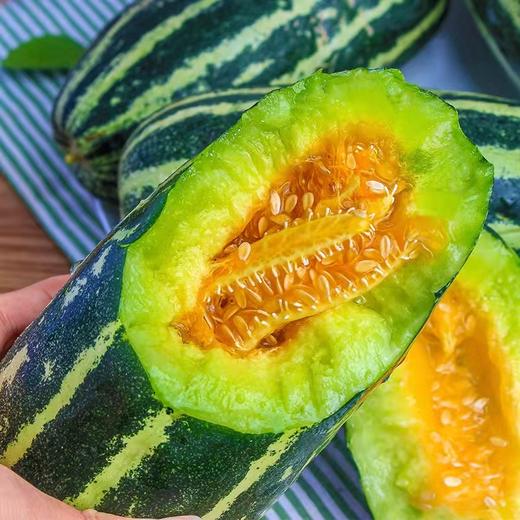 博洋9号甜瓜 商品图4