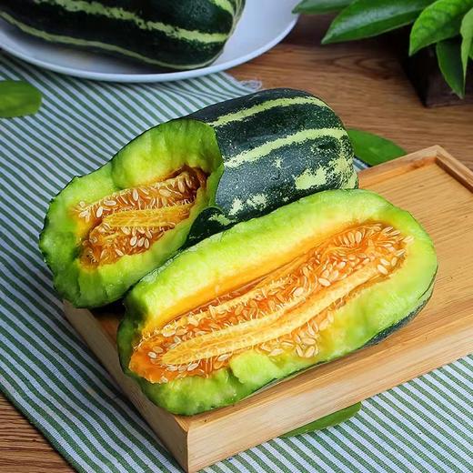 博洋9号甜瓜 商品图0