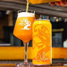 【3月产】美国树屋朱丽叶斯双倍IPA啤酒  6.8%vol