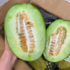 椰海蜜瓜 哈密瓜 绿肉也可以脆甜的哈蜜瓜 商品缩略图0
