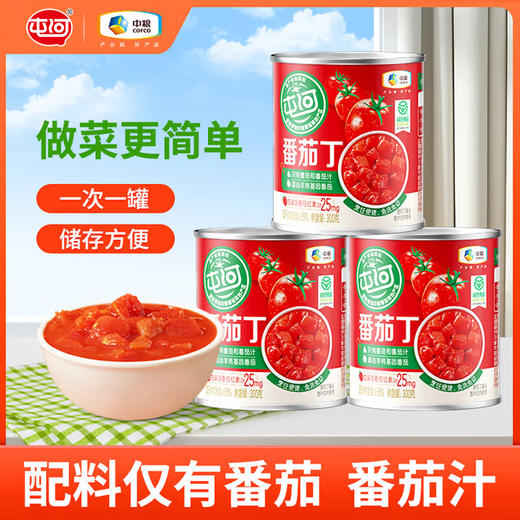 屯河蕃茄丁300g 商品图1