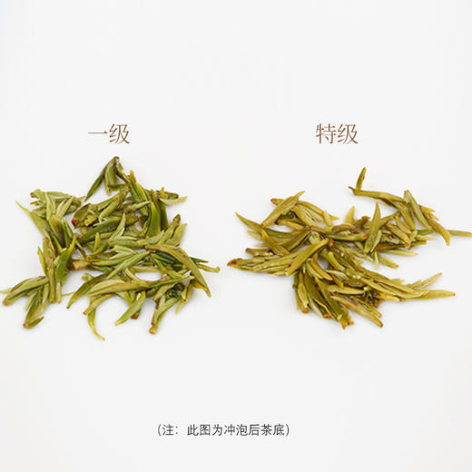 碧螺春2026明前特级180g 商品图5