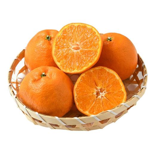 明日见蜜柑  1kg 商品图1