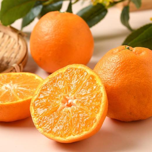 明日见蜜柑  1kg 商品图2