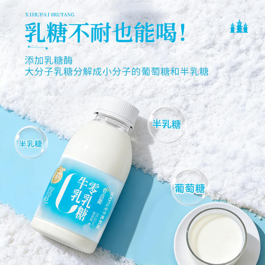 【快递直达】西湖牌海盐0乳糖牛乳260mL（多规格可选） 商品图2