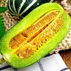博洋9号甜瓜 商品缩略图2