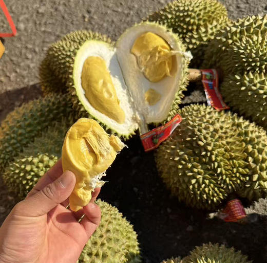 泰国甲仑榴莲B果  四房肉 商品图2