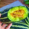 博洋9号甜瓜 商品缩略图8
