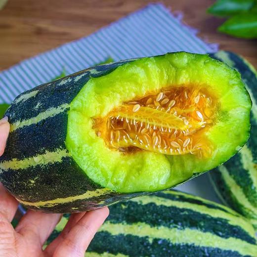 博洋9号甜瓜 商品图8