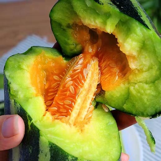 博洋9号甜瓜 商品图9