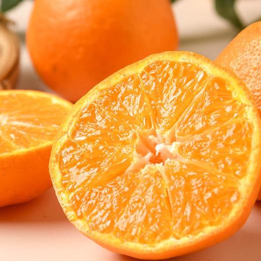 明日见蜜柑  1kg 商品图0